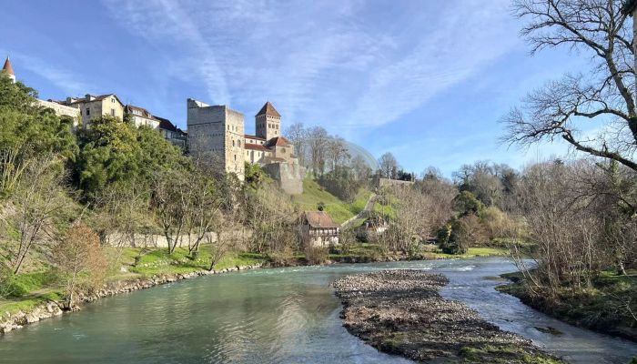 Zabytkowa nieruchomość na sprzedaż Sauveterre-de-Béarn, Nouvelle-Aquitaine