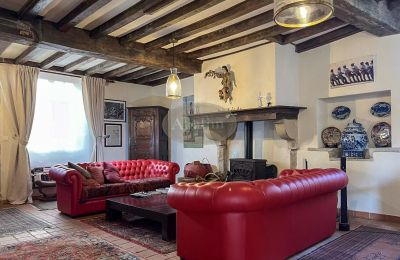 Zabytkowa nieruchomość na sprzedaż Sauveterre-de-Béarn, Nouvelle-Aquitaine, Zdjęcie 4/24