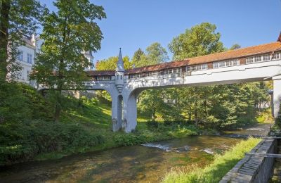 Zabytkowa willa na sprzedaż Dolnośląskie, Zdjęcie 3/10
