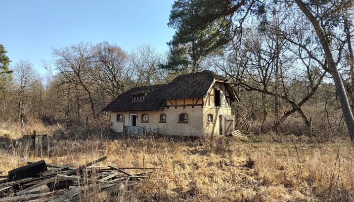  Słubice 4