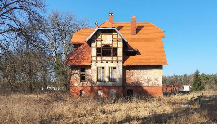 Zabytkowa willa przy granicy polsko-niemieckiej