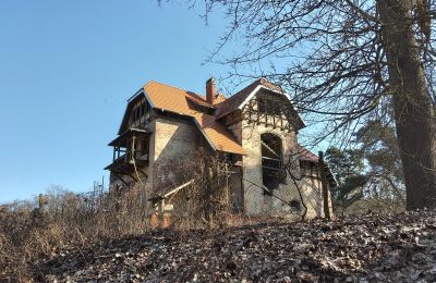 Zabytkowa willa na sprzedaż Słubice, Lubuskie, Zdjęcie 3/15
