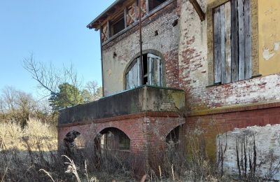 Zabytkowa willa na sprzedaż Słubice, Lubuskie, Zdjęcie 9/15