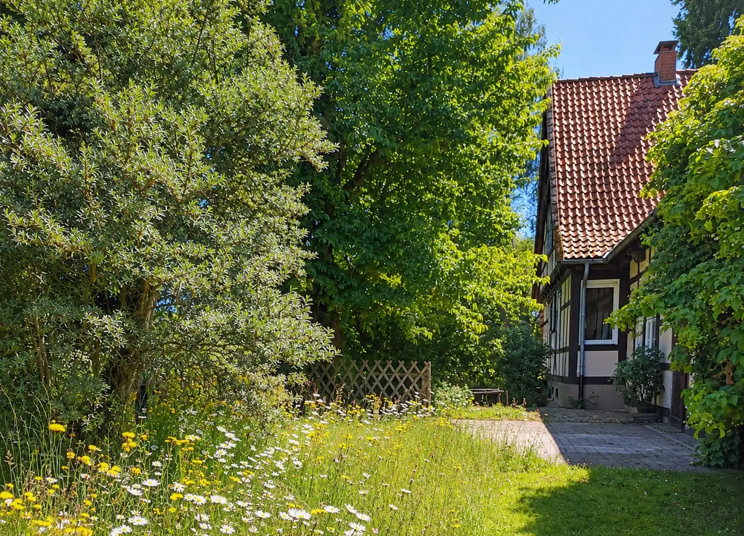 Zdjęcia Siedlisko w parku przyrody Solling-Vogler, blisko Hanoweru