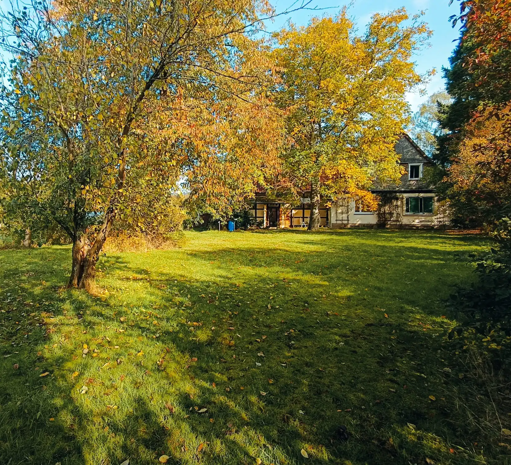Zdjęcia Siedlisko w parku przyrody Solling-Vogler, blisko Hanoweru