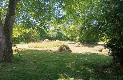 Wiejski dom na sprzedaż Niemcy, Zdjęcie 11/32