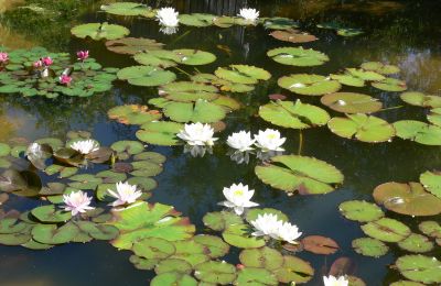 Wiejski dom na sprzedaż Niemcy, Zdjęcie 12/32