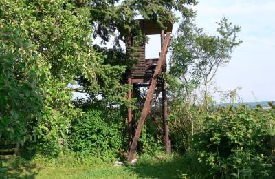 Wiejski dom na sprzedaż Niemcy, Zdjęcie 15/32