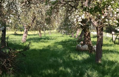 Wiejski dom na sprzedaż Niemcy, Zdjęcie 29/32