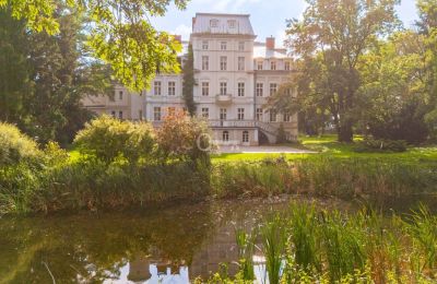 Pałac na sprzedaż Malina, Pałac Malina, Łódzkie, Zdjęcie 26/28