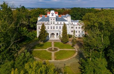 Pałac na sprzedaż Malina, Pałac Malina, Łódzkie, Zdjęcie 2/28