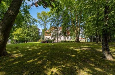 Pałac na sprzedaż Marzewo, Warmińsko-mazurskie, Park