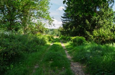 Dwór na sprzedaż Bosowice, Bosowice 80, Świętokrzyskie, Zdjęcie 15/25