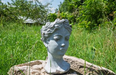 Dwór na sprzedaż Bosowice, Bosowice 80, Świętokrzyskie, Zdjęcie 4/25