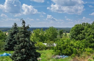 Dwór na sprzedaż Bosowice, Bosowice 80, Świętokrzyskie, Zdjęcie 7/25