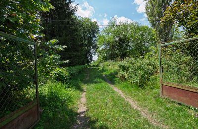 Dwór na sprzedaż Bosowice, Bosowice 80, Świętokrzyskie, Zdjęcie 6/25