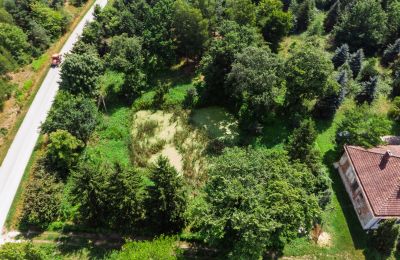 Dwór na sprzedaż Bosowice, Bosowice 80, Świętokrzyskie, Zdjęcie 14/25