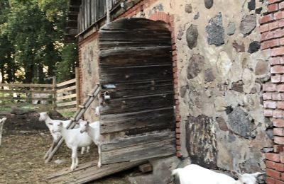 Herrgård till salu Vandzene, Kurzeme, Bild 4/7