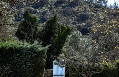 Wiejski dom na sprzedaż Uzès, Oksytania, Zdjęcie 14/22