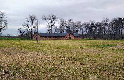 Dwór na sprzedaż Raszków, Świętokrzyskie, Zdjęcie 5/16