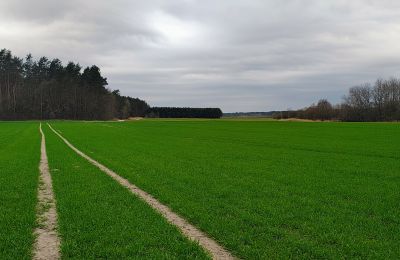 Dwór na sprzedaż Raszków, Świętokrzyskie, Zdjęcie 7/16