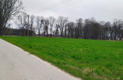 Dwór na sprzedaż Raszków, Świętokrzyskie, Zdjęcie 14/16