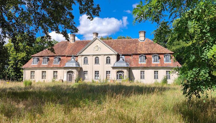 Lubuskie: Barokowy pałac/dwór na prywatnym półwyspie