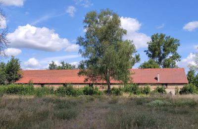 Dwór na sprzedaż Lubuskie, Zdjęcie 6/16