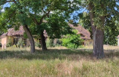 Dwór na sprzedaż Lubuskie, Zdjęcie 7/16