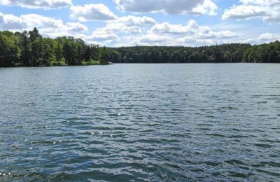 Dwór na sprzedaż Lubuskie, Zdjęcie 13/16