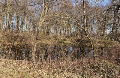 Pałac na sprzedaż Kępica, Kępica 20 A, Zachodniopomorskie, Zdjęcie 12/13