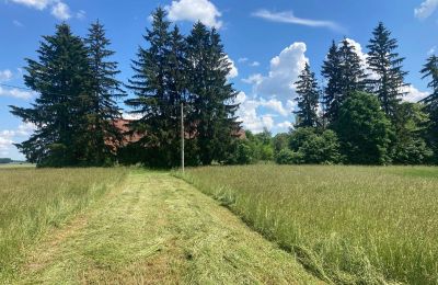 Wiejski dom na sprzedaż Bądze, Warmińsko-mazurskie, Zdjęcie 7/8