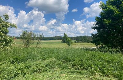 Wiejski dom na sprzedaż Bądze, Warmińsko-mazurskie, Zdjęcie 6/8