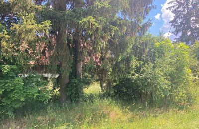 Wiejski dom na sprzedaż Bądze, Warmińsko-mazurskie, Zdjęcie 5/8