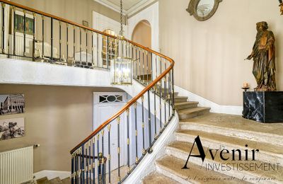 Zabytkowa willa na sprzedaż Vaugneray, Auvergne-Rhône-Alpes, Zdjęcie 4/12