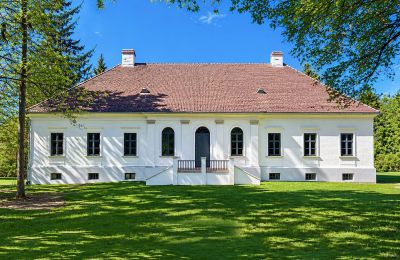 Dwór na sprzedaż Tömörd, Fő utca 11, Komitatz Vas, Widok z przodu