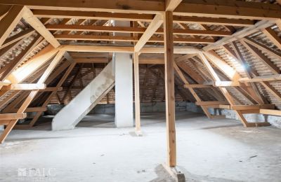 Dwór na sprzedaż Tömörd, Fő utca 11, Komitatz Vas, Zdjęcie 12/21