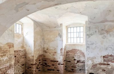 Dwór na sprzedaż Tömörd, Fő utca 11, Komitatz Vas, Sklepienie piwniczne