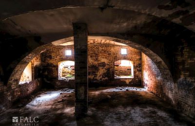 Dwór na sprzedaż Tömörd, Fő utca 11, Komitatz Vas, Sklepienie piwniczne