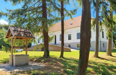 Dwór na sprzedaż Tömörd, Fő utca 11, Komitatz Vas, Zdjęcie 5/21