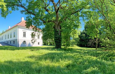 Dwór na sprzedaż Tömörd, Fő utca 11, Komitatz Vas, Park