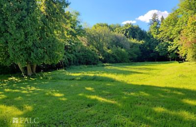 Dwór na sprzedaż Tömörd, Fő utca 11, Komitatz Vas, Park