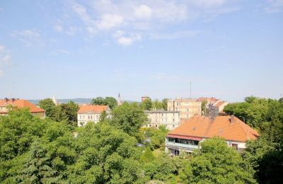 Pałac na sprzedaż Jawor, Armii Krajowej 7, Dolnośląskie, Zdjęcie 15/20