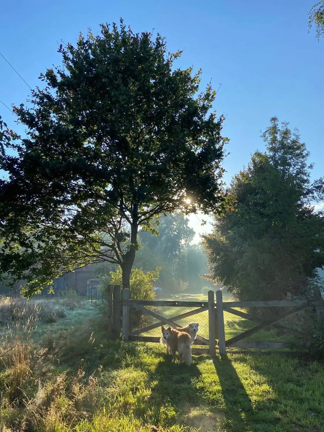 Zdjęcia Historyczny zespół zabudowań w trójkącie granicznym Görlitz–Niemcy–Czechy