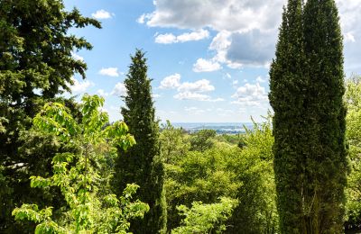 Dwór na sprzedaż Limonest, Auvergne-Rhône-Alpes, Zdjęcie 6/10