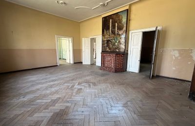Dwór na sprzedaż Lubosz, Powstańców Wielkopolskich 31, Wielkopolskie, Zdjęcie 12/17