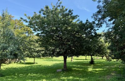 Dwór na sprzedaż Brandenburgia, Obstbaumgarten