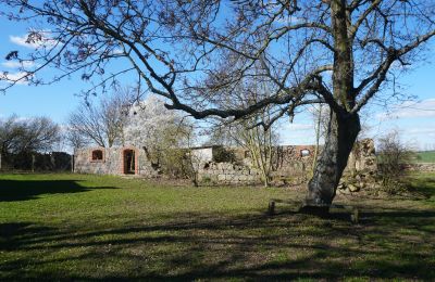 Dwór na sprzedaż Brandenburgia, Runine - ehem. Verwalterhaus