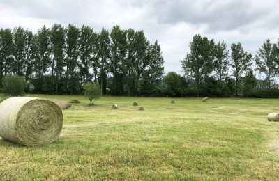 Dwór na sprzedaż Brandenburgia, Koppel