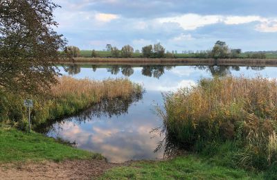 Dwór na sprzedaż Brandenburgia, Badesee in der Umgebung
